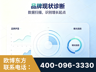 安国-品牌现状诊断