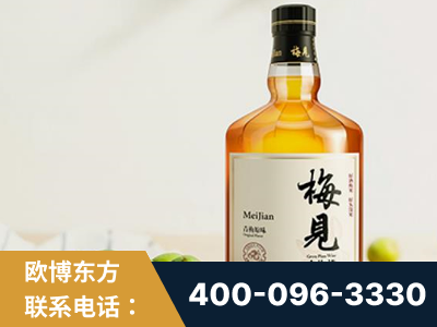 安国-梅见青梅酒